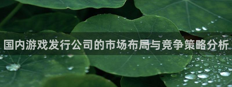 亿万28官网注册方法有哪些：国内游戏发行公司的市场布局与竞争策略分析