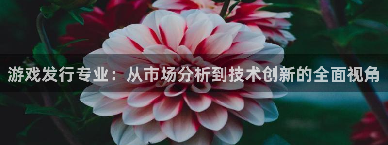 亿万28装饰