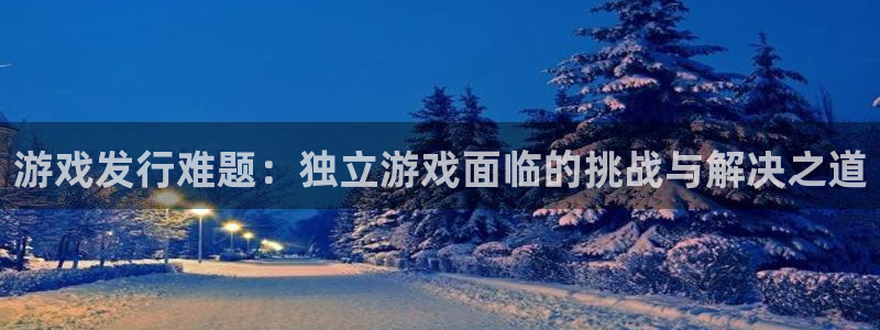 亿万28子文化创意做什么的：游戏发行难题：独立游戏面临的挑战与解决之道