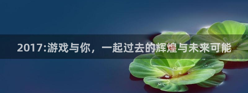 佛山亿万28：2017:游戏与你，一起过去的辉煌与未来可能