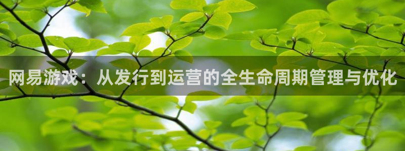 亿万28官网骗局是真的吗：网易游戏：从发行到运营的全生命周期管理与优化