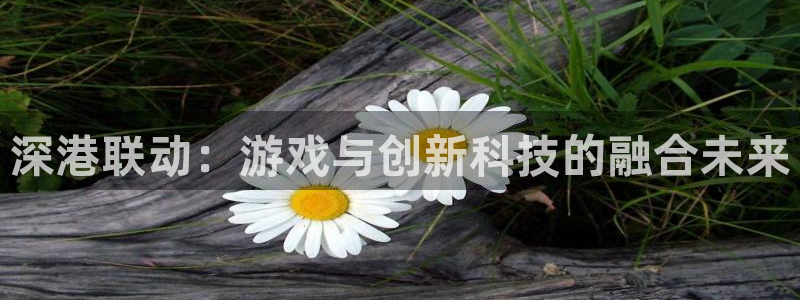 陕西亿万28子文化创意是干什么的