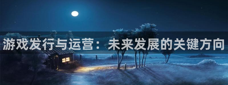 亿万28子上市：游戏发行与运营：未来发展的关键方向