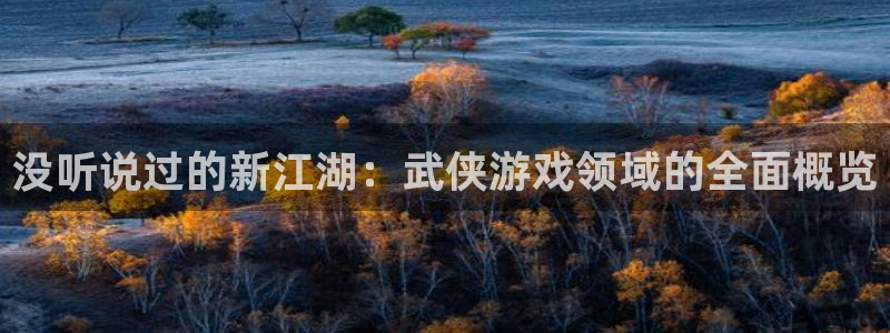 亿万28官网登录注册账号安全吗是真的吗：没听说过的新江湖：武侠游戏领域的全面概览