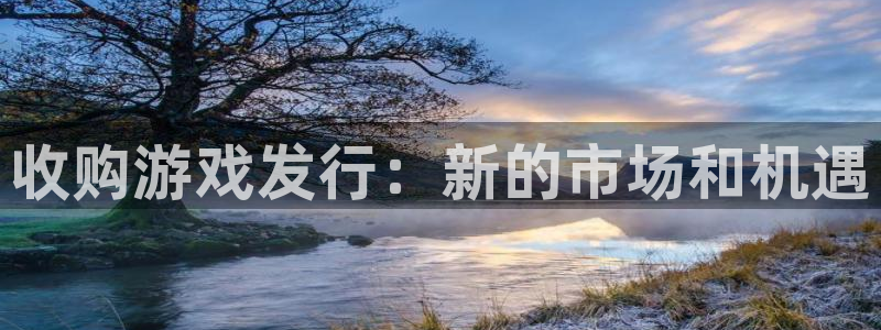 亿万28子文化有什么游戏：收购游戏发行：新的市场和机遇