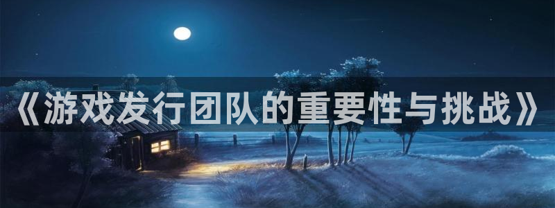 亿万28官网注册方法是什么：《游戏发行团队的重要性与挑战》