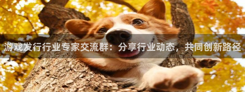 亿万28官网客服：游戏发行行业专家交流群：分享行业动态，共同创新路径