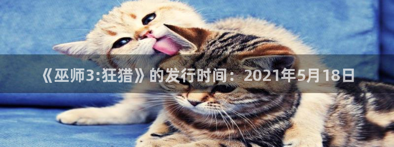 亿万28官网注册平台官网登录：《巫师3:狂猎》的发行时间：2021年5月18日