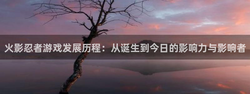 亿万28官网登录注册不了怎么回事：火影忍者游戏发展历程：从诞生到今日的影响力与影响者