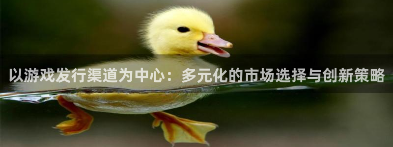 亿万28gs：以游戏发行渠道为中心：多元化的市场选择与创新策略